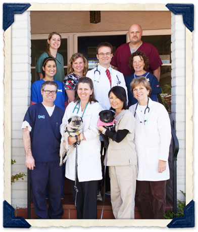 burlingame pet clinic