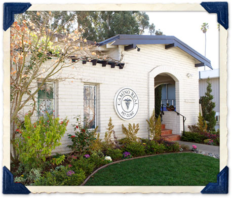 Burlingame pet clinic