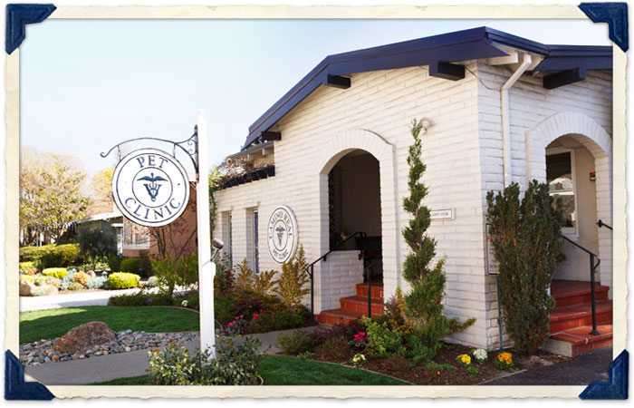 burlingame veterinary location