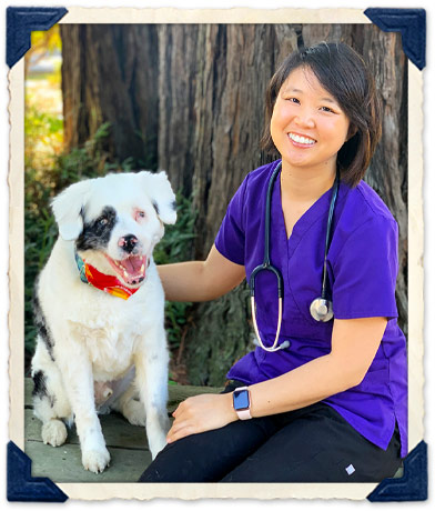 Burlingame, CA Veterinarian